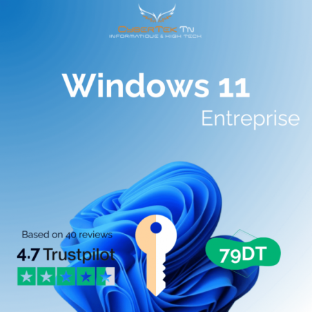 Microsoft Windows 11 Entreprise Digital Licence – Activation en ligne