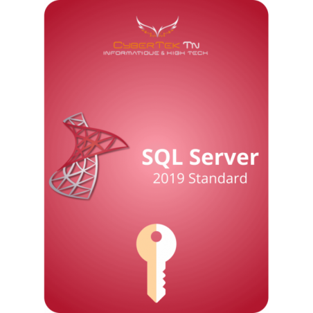 Microsoft SQL Server Standard 2019 Cd Key