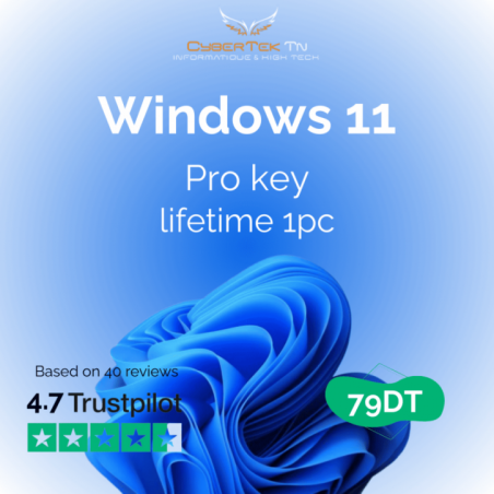 Microsoft Windows 11 Professional Digital Licence – Online Activation