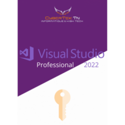 Microsoft Visual Studio 2022 Professional