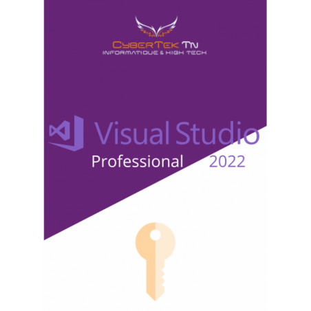 Microsoft Visual Studio 2022 Professional
