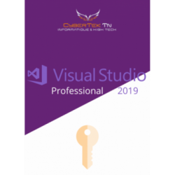 Microsoft Visual Studio 2019 Professional