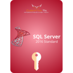 Microsoft SQL Server Standard 2016 Cd Key